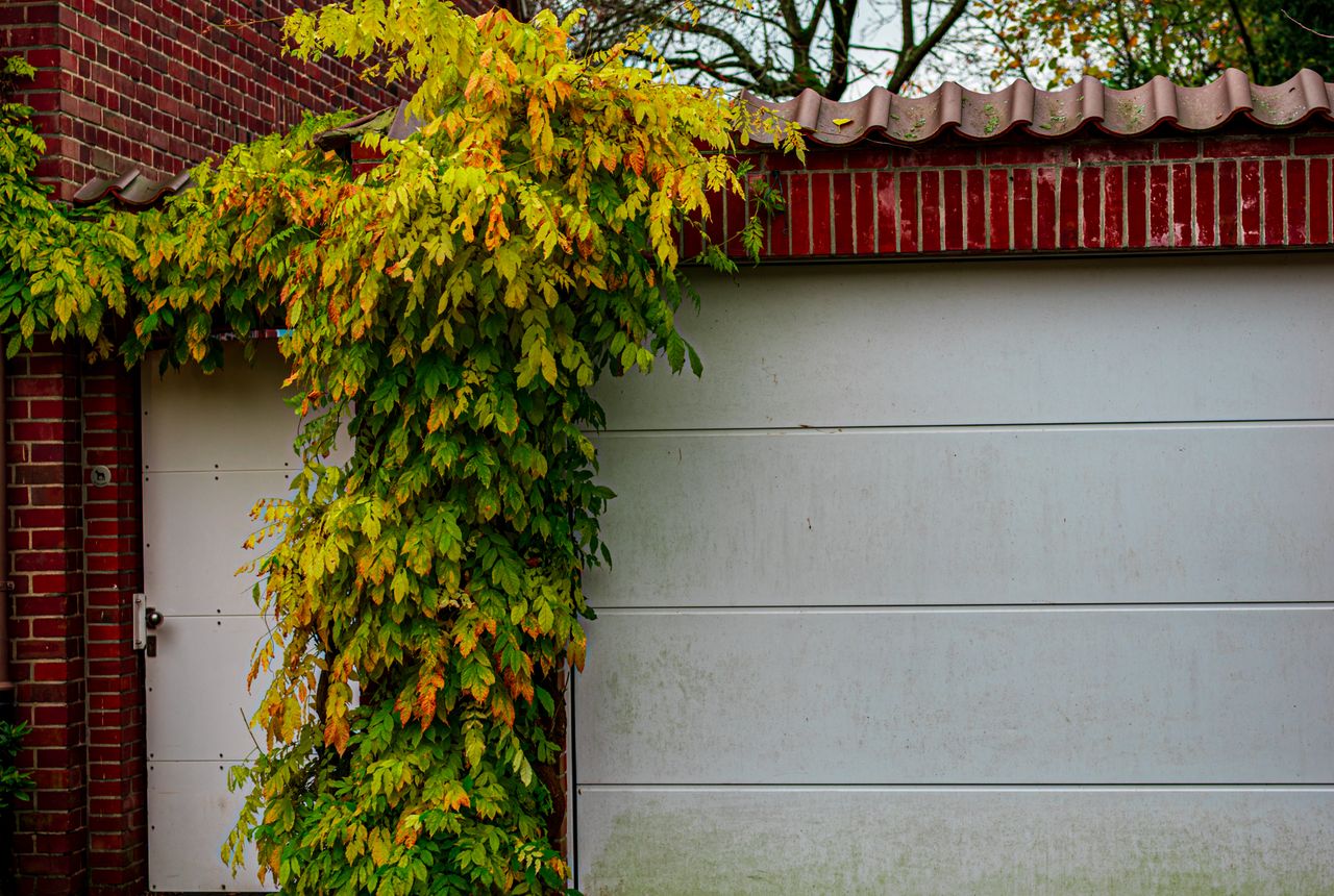 Garage door service in Rocklin, CA